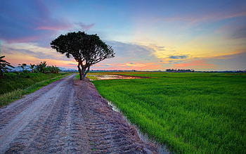 Village Background, Rain Village HD wallpaper