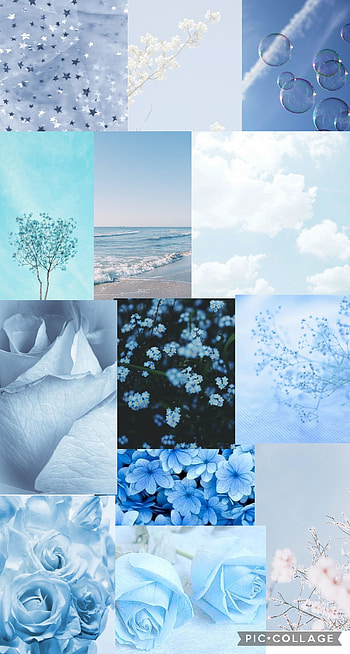 Blue aesthetic, Pastel blue, Background, Light blue, Pastel, Flowers, Sky blue HD phone wallpaper