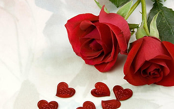 Roses and hearts, roses, love, hearts, flowers, beauty HD wallpaper