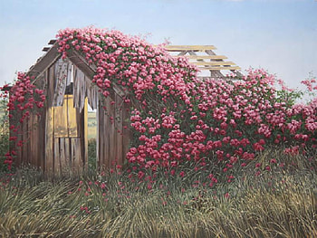 Old Barn with Roses, open field, wood, roses, old barn, grass HD wallpaper