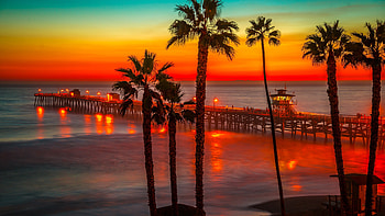 Palm tree sunset, Ultra , Beautiful nature graphy, Stunning backdrop HD wallpaper