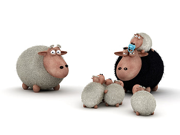 A Large Sheepz Family, white, black, children, 3d, family, sheep, kid HD wallpaper