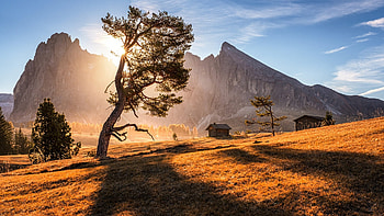 South Tyrol, Italy, huts, dolomites, uts, morning, landscape, alps, sunrise, tree HD wallpaper
