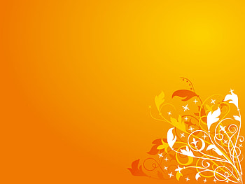 Flowers, Background HD wallpaper