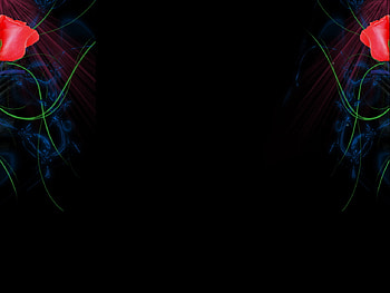 Roses, scribbels, abstract HD wallpaper