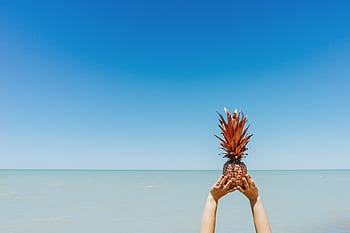 Hands holding a pineapple against a clear blue sky and calm ocean, capturing a tropical summer vibe. HD wallpaper