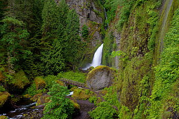 Nature, Grass, Waterfall, Elevation, State Of Oregon, Wahclella Falls, Oregon State HD wallpaper