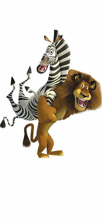 Cartoon zebra , Madagascar movie characters, Animated adventure, Jungle setting HD phone wallpaper