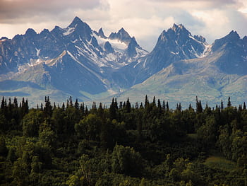 Breathtaking view of a rugged mountain range with lush green forest in the foreground. HD wallpaper