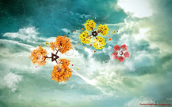 Digital Beauties, digital, beauties HD wallpaper