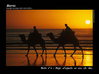 Discover of Morocco, night, river, animal, culture, people, sunrise, camel, morocco, history, sunset, discover HD wallpaper