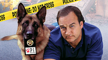K-9 movie backdrops, Buddy cop duo, Action-packed storyline, Crime-fighting pair HD wallpaper