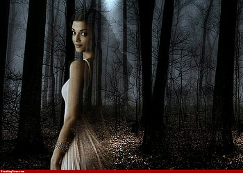 Demensions, other, people, forest, entertainment HD wallpaper