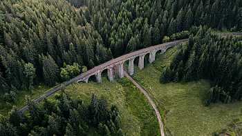 Aerial view, green trees, forest, bridge HD wallpaper