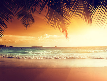 Landscape Beach Tropical Sun, landscape, tropical, beach, sun, artist, artwork, digital-art, nature HD wallpaper
