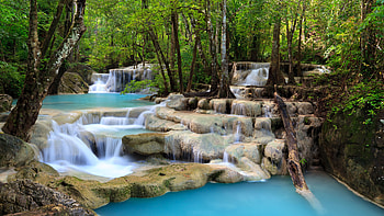 Nature Falls Trees Forest HD wallpaper