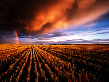 Autumn rainbow, rainbow, field, autumn, nature, cloud HD wallpaper