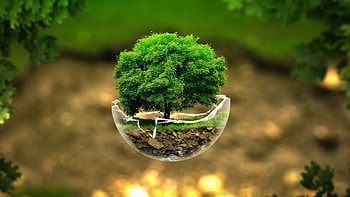 Nature Windows 10 Nature High Resolution, Nature 10k HD wallpaper