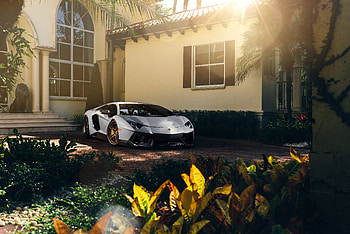 White Lamborghini Aventador, lamborghini-aventador, lamborghini, cars HD wallpaper