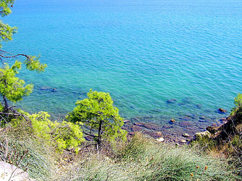Above the water, sea, oceans, forests, nature HD wallpaper