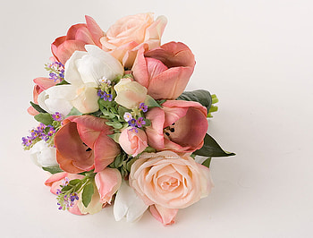 Pink & white delight, pink, white, tulips, green HD wallpaper