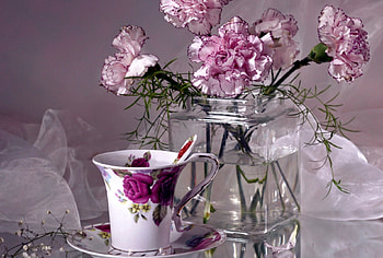 ~ ✿ ~, , color, new HD wallpaper