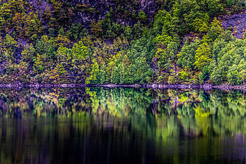 Nature, Trees, Lake, Reflection, Forest HD wallpaper