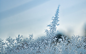Frost on Glass, cold, glass, frost, ice HD wallpaper