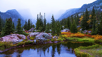 Saturated Forest, Rocky Mountain National Park, Colorado, river, dusk, rocks, stones, reflections, usa, trees, mountains, water HD wallpaper