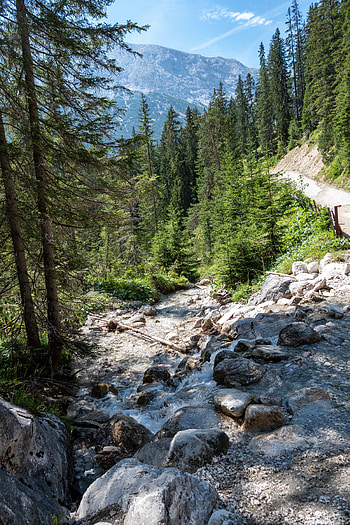 Nature, Rivers, Trees, Stones, Mountains, Slope HD phone wallpaper