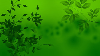 :-), texture, card, green, flower HD wallpaper