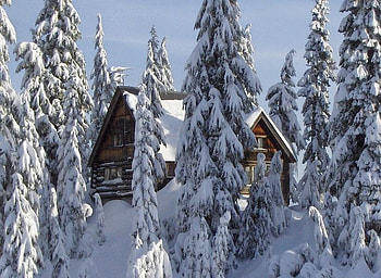 Winter cabin, winter, nature, snow, cabin HD wallpaper