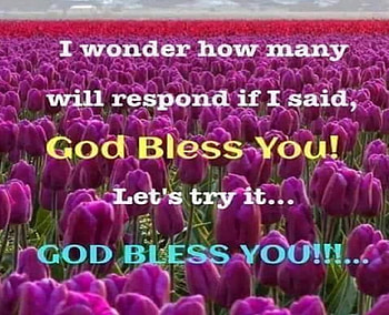 GOD BLESS YOU, religious, Bible verse, Christian message, nature garden, flowers HD wallpaper