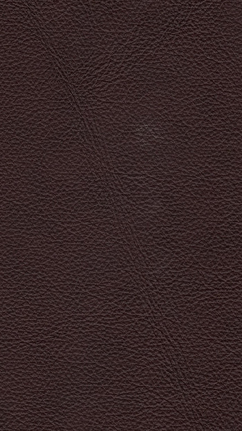 Brown, Brown Colour HD phone wallpaper