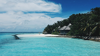 Nature, Trees, Beach, Summer, Tropics, Maldives, Bungalow HD wallpaper