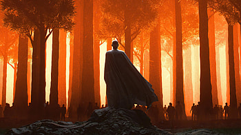 Remian Calm , warrior, artist, artwork, digital-art, forest HD wallpaper