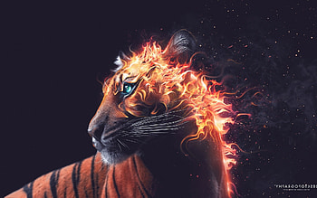 Tiger Fire Graphics, graphics, artist, tiger, predator, art, digital-art HD wallpaper