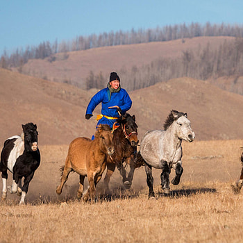 Mongolia, Fall 2022, Nomadism and geopolitics, Study abroad HD phone wallpaper