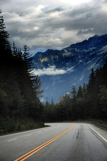 Nature, Trees, Mountains, Road, Markup, Fir, Spruce HD phone wallpaper