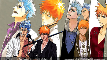 BLEACH: Grimmjow and Ichigo 01, series, ichigo kurosaki, studio, tite, character, bleach, kubo, grimmjow jeagerjaques, pierrot, mangaka HD wallpaper