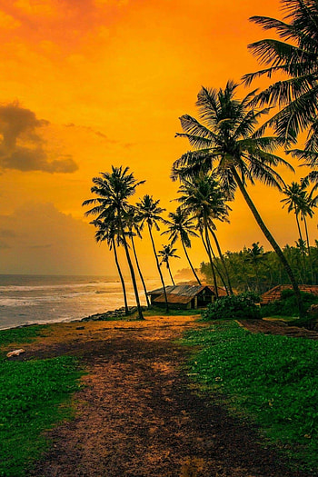 Varkala beach, Kerala HD phone wallpaper