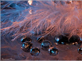 Background, Drops HD wallpaper