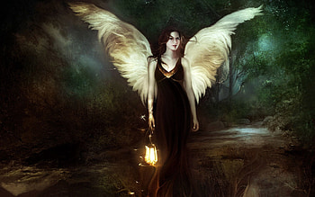 Fantasy, Night, Forest, Lantern, Lamp, Girl, Angel HD wallpaper