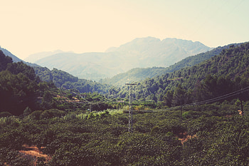 Nature, Trees, Mountains, Wires, Wire HD wallpaper