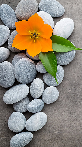 Samsung Galaxy Tab S6 Full - Samsung - Best , Samsung Galaxy HD phone wallpaper
