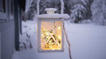 Winter Glow, winter, trees, lantern, snow HD wallpaper
