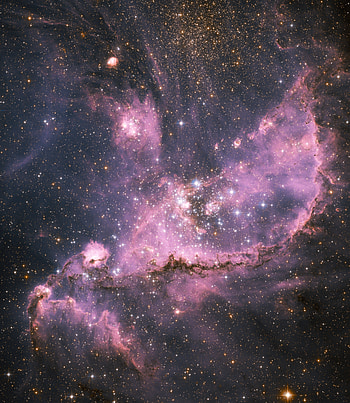 Universe, Stars, Violet, Nebula, Purple HD phone wallpaper