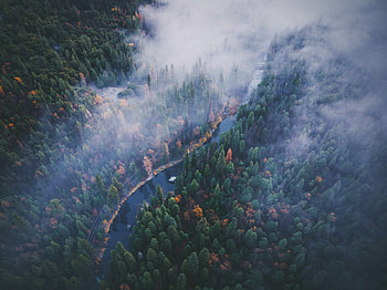 River, aerial view, forest, Yosemite valley HD wallpaper