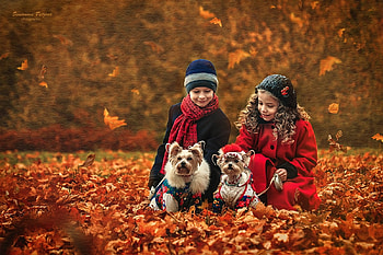 Autumn, Friendship, Children, Love, Dogs HD wallpaper