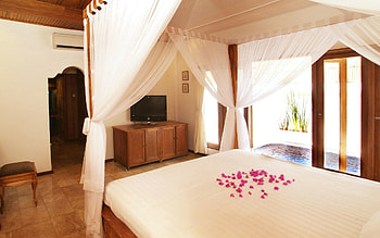 Miscellanea, Miscellaneous, Petals, Romance, Bed, Sleeping, Bedroom HD wallpaper
